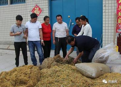 【说法】古今纵横医药谈