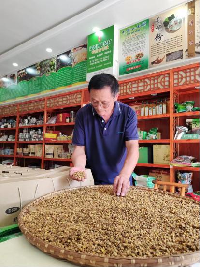 信阳市商城县中药材种植助农鼓起钱袋子