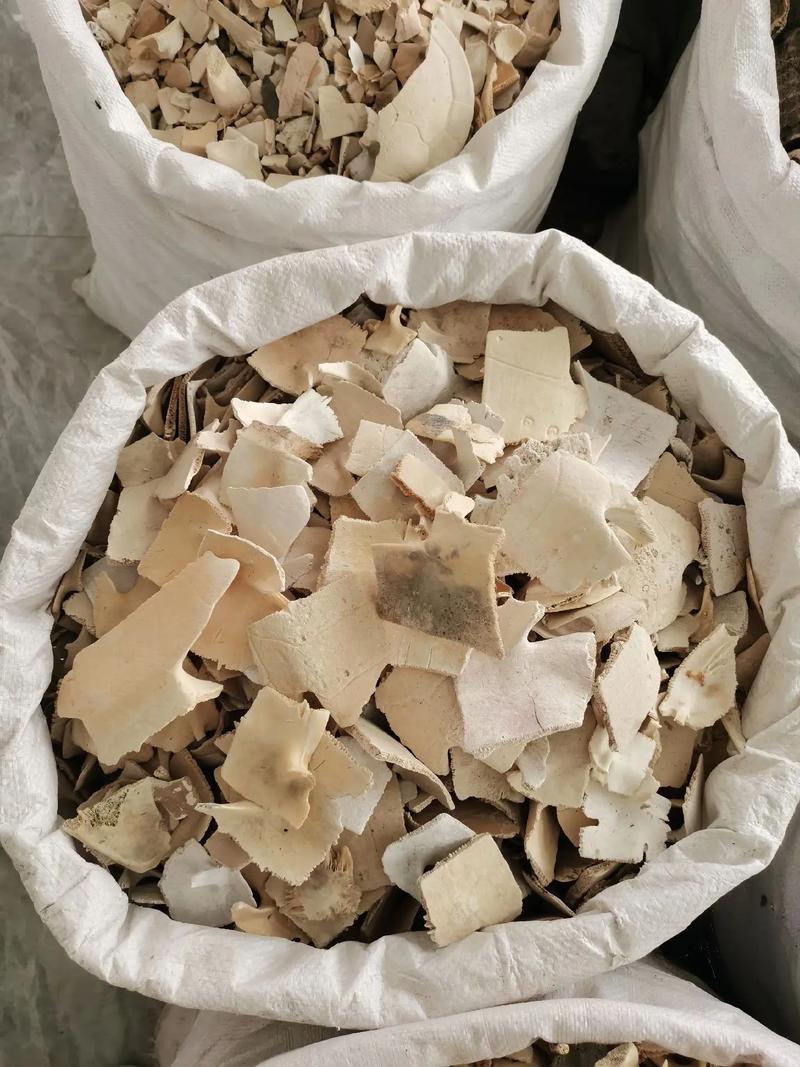 大量收购鳖甲#甲鱼 骨#正骨碎骨#全国收购中药材