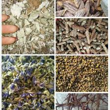 龙山县春燕中药材种植专业合作社简介